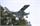 FLUGZEUG GLASAIR SP.M2 1433mm EP RTF MIT VIRTUAL INSTRUCTOR EINSTEIGER